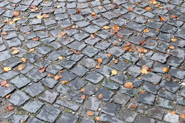 Yellow autumn leaves on the old paving roadway. — Stock Photo, Image