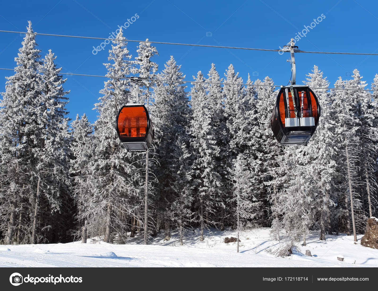 Two Cable Car Cabins And Snow Covered Spruce Trees In The Ski Re