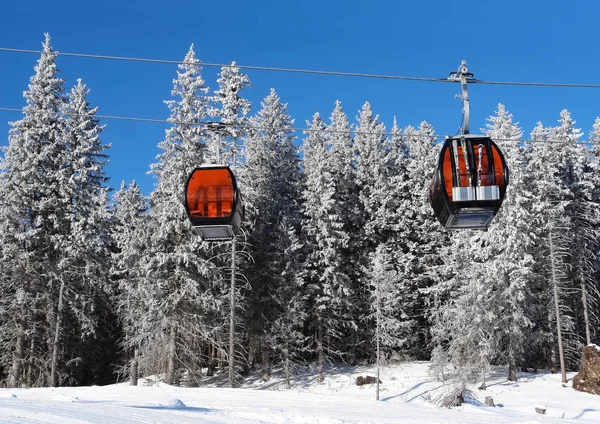 Deux cabines de téléphérique et des épinettes enneigées dans le domaine skiable — Photo