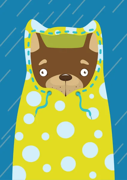 Cão pequeno em uma capa de chuva na chuva — Vetor de Stock