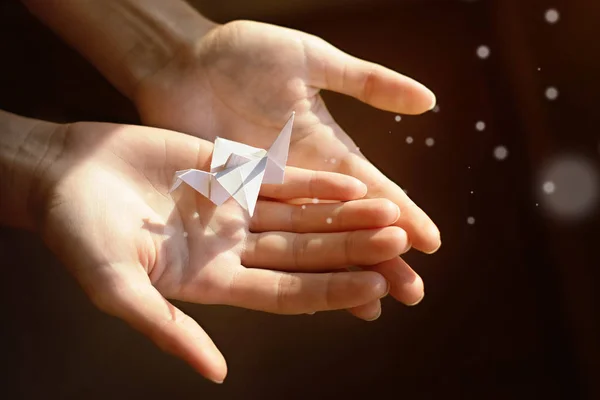 Kağıt vinç ışıkta eller. Magic