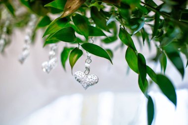 Yeşil Ruscus yaprakları ve bir kalp şeklinde kristal kolye. Düğün kavramı