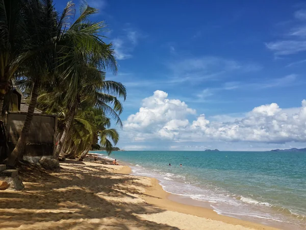 Písečné pobřeží azurové moře. Vlny a palem. Koh Samui, Thajsko — Stock fotografie