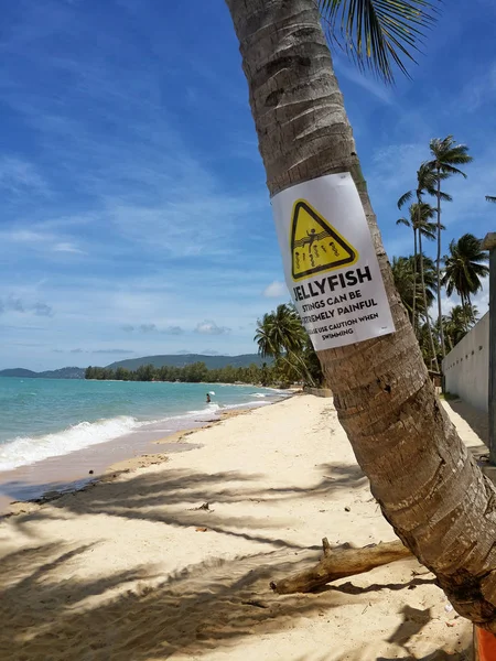 Le spiagge sabbiose del mare azzurro. Onde e palme con un segnale di avvertimento. L'iscrizione sul palmo della mano: punture di medusa può essere estremamente doloroso. Si prega di prestare attenzione quando si nuota. Koh Samui Tailandia — Foto Stock