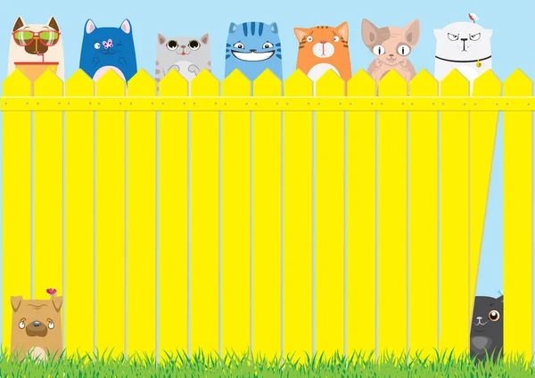 Lindo fondo mascotas — Vector de stock