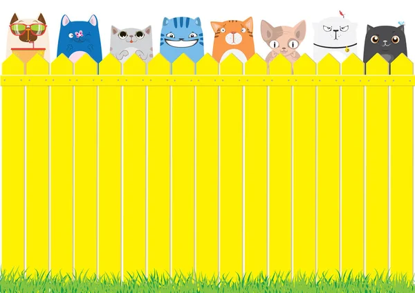 Lindo fondo mascotas — Vector de stock