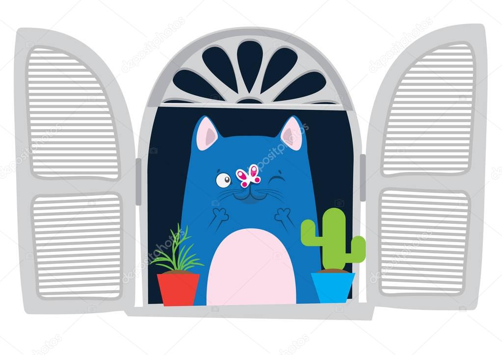 Blue cat in the window.