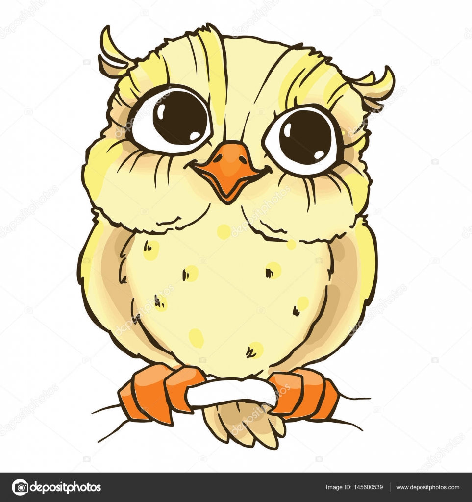 귀여운 올빼미 캐릭터 스톡 벡터 - ©Vasilixa 145600539, image size:1600x1700