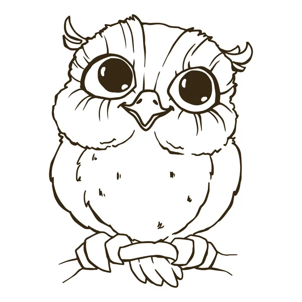Cute owl character — Stock Vector