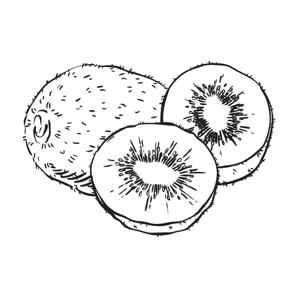 Desenho à mão ilustração de uvas — Vetor de Stock