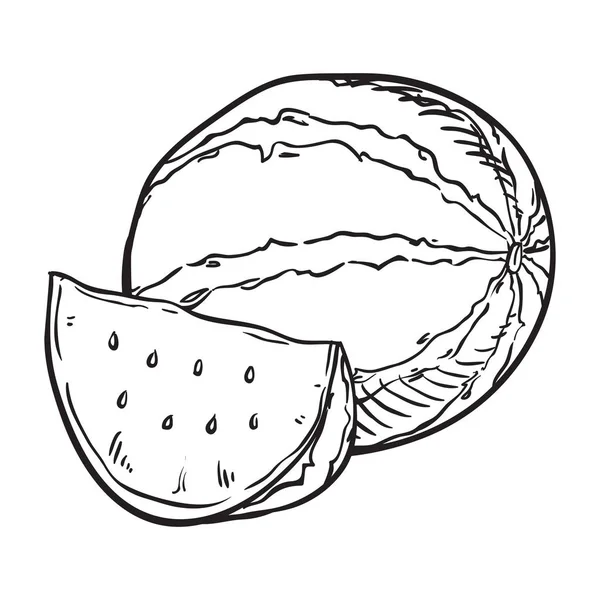 Handritad skiss vattenmelon illustration — Stock vektor