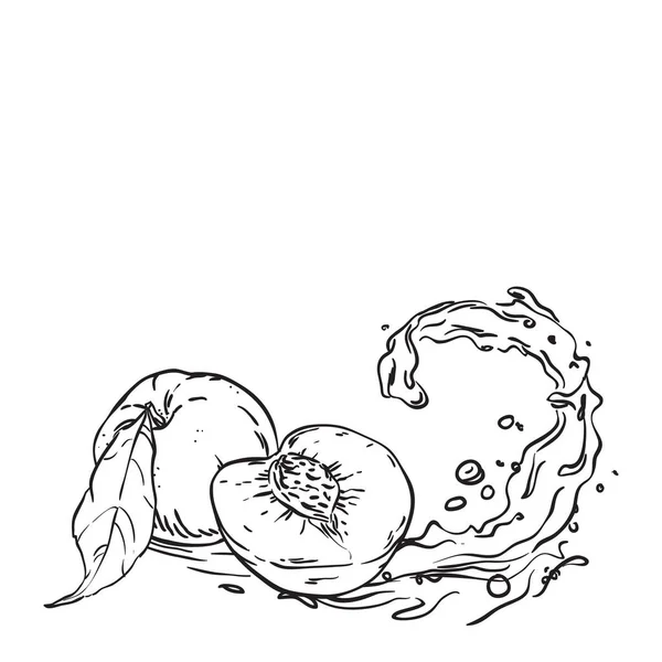 Pêssegos em sumo de onda. ilustração esboço desenhado à mão — Vetor de Stock