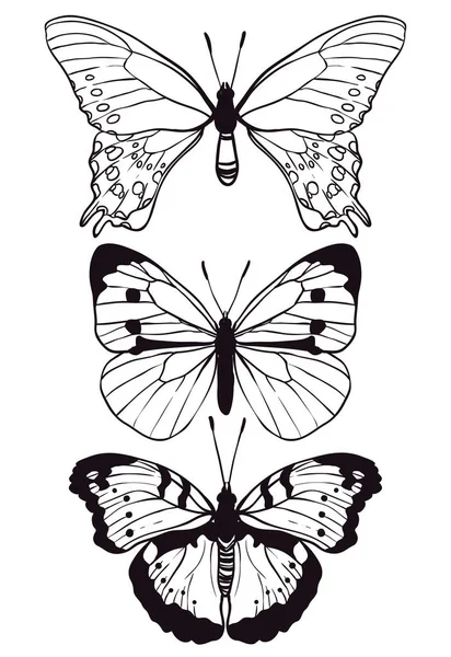 Motýly nastavit ručně kreslenou — Stockový vektor
