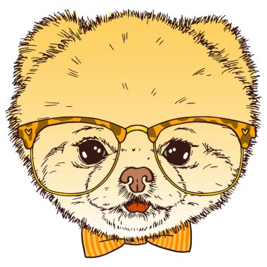 Pomeranian köpek Merkez gözlük ve papyon. İzole hipster köpek yavrusu illüstrasyon vektör.
