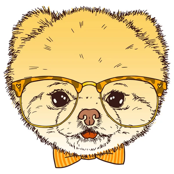 Tête de chien poméranienne avec lunettes et noeud papillon. Illustration vectorielle de chiot hipster isolé . — Image vectorielle