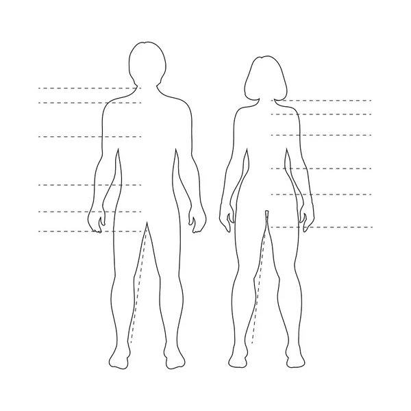 Hombre Mujer Siluetas Cuerpo Humano Con Punteros Figuras Infográficas Contorno — Archivo Imágenes Vectoriales