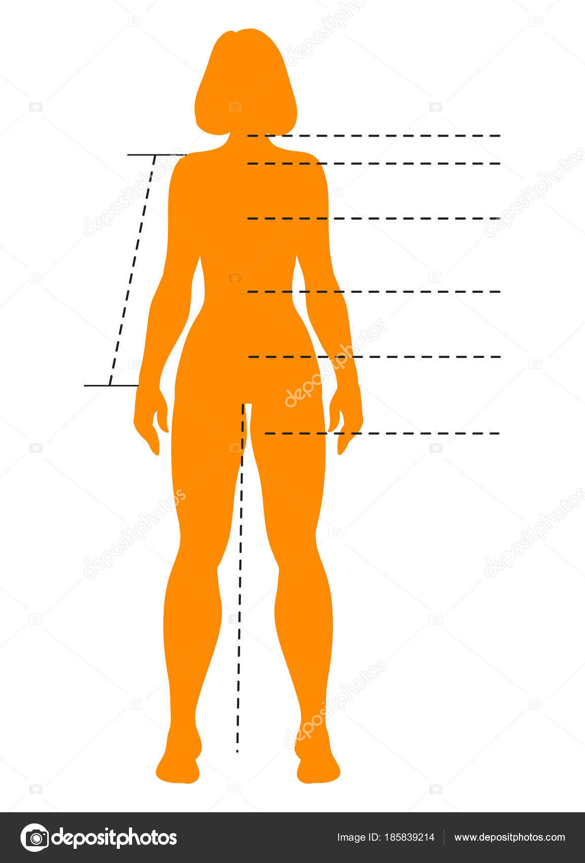 Картинки по параметрам найти. Силуэт для замеров тела. Человеческое тело женское. Замеры тела человека. Очертания женской фигуры.