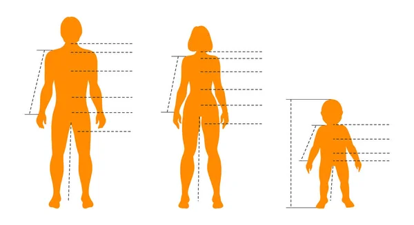 Ensemble familial de corps humains avec pointeurs et indicateurs pour l'infographie médicale, sportive et de la mode. Modèle isolé vectoriel avec silhouettes homme, femme et enfant — Image vectorielle