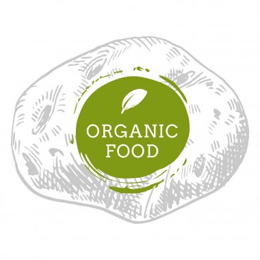 Etiket patates taze doğal çevre gıda vektör elle çizilmiş illustrati