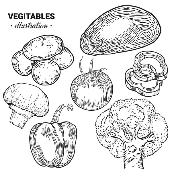 Verdure disegnato a mano schizzo vettoriale illustrazione. Campione di funghi — Vettoriale Stock
