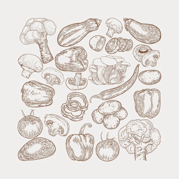 Verdure disegnato a mano schizzo vettoriale illustrazione. Campione di funghi — Vettoriale Stock