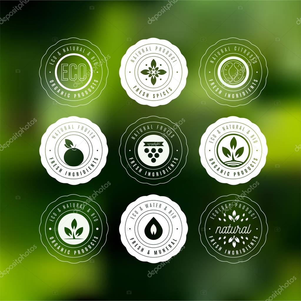 Collection of stickers and badges for natural products and eco food. Vector illustrations for ecolody ingredients, healthy food and products package.