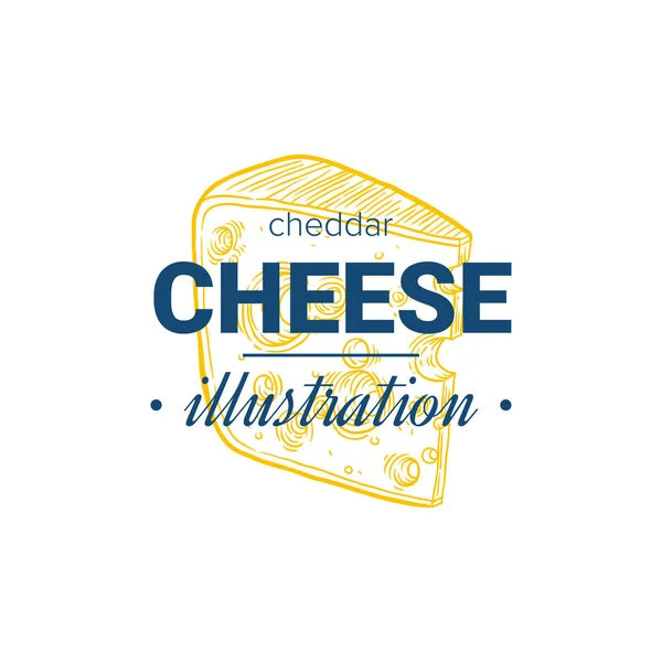 Queso Vector Dibujado Mano Productos Lácteos Logotipo Ilustración Detallada Estilo — Archivo Imágenes Vectoriales