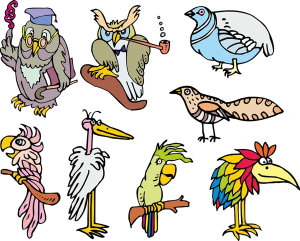 Aranyos vicces madarak összessége — Stock Vector