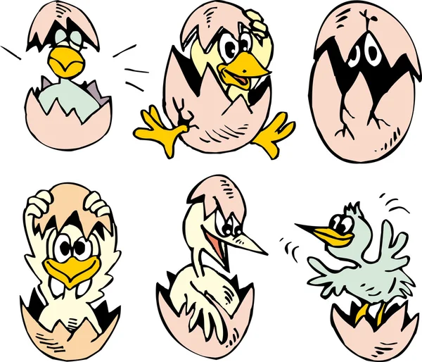 Set di simpatici nidiacei che schiudono le uova — Vettoriale Stock