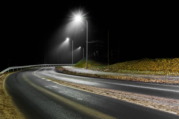 Route Forestière Éclairée Dans Obscurité Images De Stock Libres De Droits