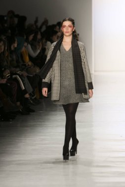 Dan Liu sonbahar kış 2017 Fashion Show 