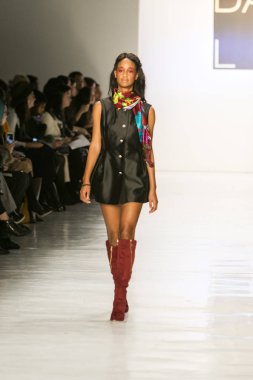 Dan Liu sonbahar kış 2017 Fashion Show