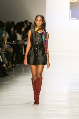 Dan Liu sonbahar kış 2017 Fashion Show