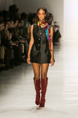 Dan Liu sonbahar kış 2017 Fashion Show