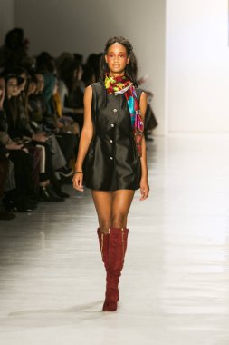 Dan Liu sonbahar kış 2017 Fashion Show