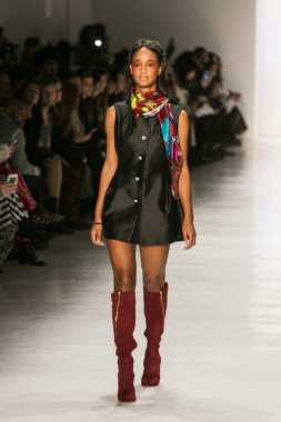 Dan Liu sonbahar kış 2017 Fashion Show