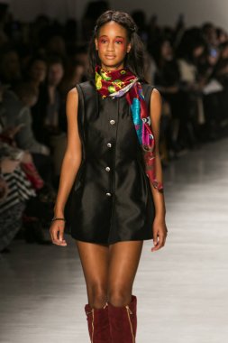 Dan Liu sonbahar kış 2017 Fashion Show