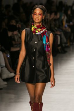 Dan Liu sonbahar kış 2017 Fashion Show