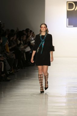 Dan Liu sonbahar kış 2017