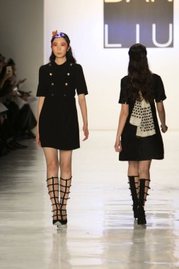 Dan Liu sonbahar kış 2017