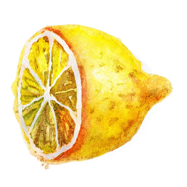 Ilustrasi warna air lemon yang lucu diisolasi pada latar belakang putih — Stok Foto