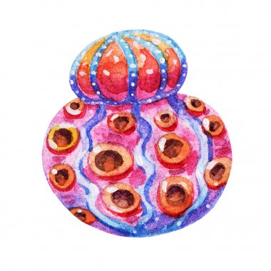 güzel renkli sulu boya deniz yosunu illüstrasyon illüstrasyon simge beyaz arka plan üzerinde izole. El çekmek çizim çocuk dergisi, tasarım, tekstil, seyahat için mükemmel