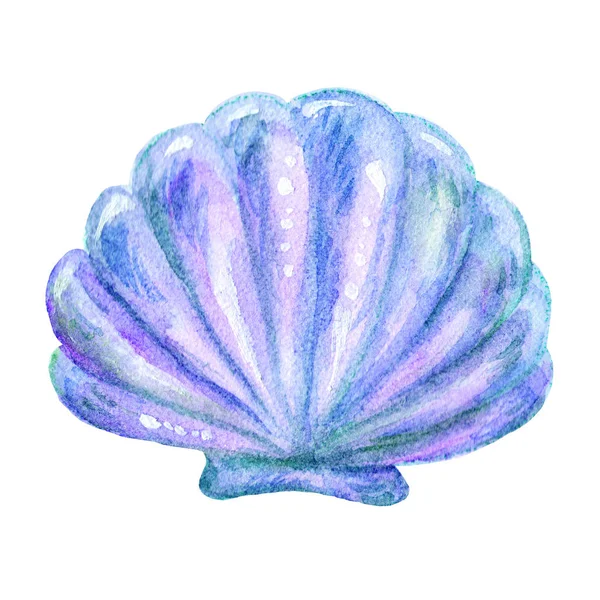 Θαλάσσια ακουαρέλα μπλε κέλυφος απεικόνιση εικονίδιο καρτούν απομονώνονται σε λευκό φόντο. Χέρι επιστήσω την εικόνα τέλεια για κάθαρση σε θαλάσσια στυλ σχεδιασμού, κλωστοϋφαντουργίας, ναυτικά στοιχείο, τη ζωή στη θάλασσα — Φωτογραφία Αρχείου