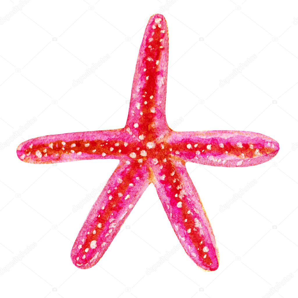 lovely marine watercolor red starfish illustration icon isolated on white background. Hand draw illustration Perfect for clearance in a marine style Design,textile,nautical element,sea life