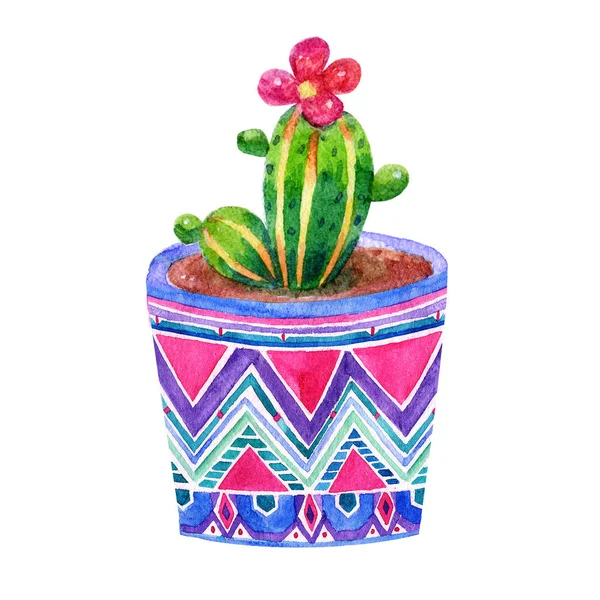 Cartoon watercolor cactus in a pot illustration isolated on white background.Abstract Succulent Hand drawing image.Children 's style, holiday, birthday, vintage, greeting cards, artwork for textiles . — стоковое фото