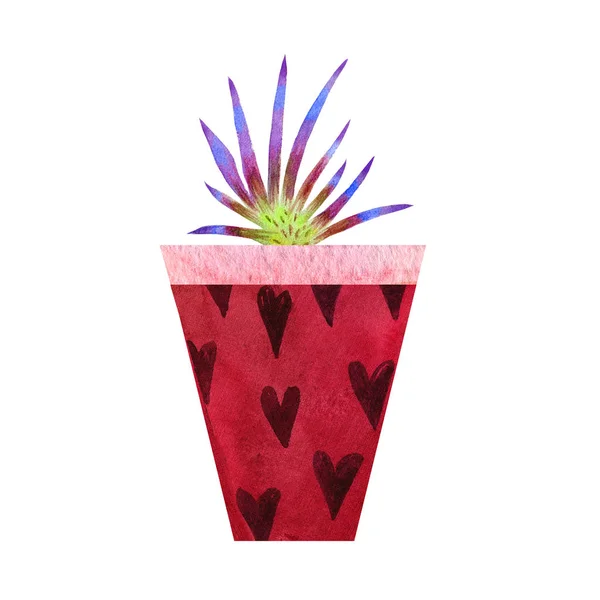 Dessin animé aquarelle cactus dans une illustration en pot isolé sur fond blanc. abstrait succulent main dessin image . — Photo