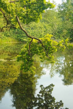 Güzel Gisselfeld park