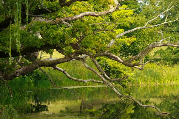 Beautiful Gisselfeld park — Stock Photo, Image