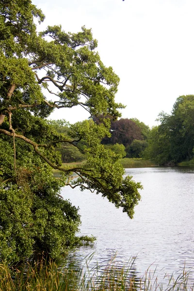 Belo parque Gisselfeld — Fotografia de Stock