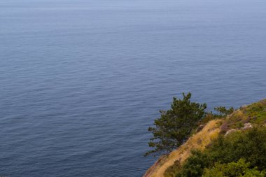 Kayalık kıyılarında vahşi batı İsveç